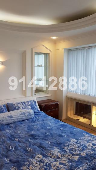 Lucky Plaza (D9), Apartment #146515412